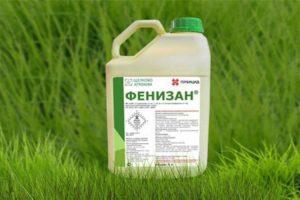 Instructions for the use of herbicide Fenisan, mechanism of action and consumption rates