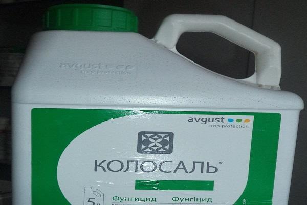 фунгицид Колосал