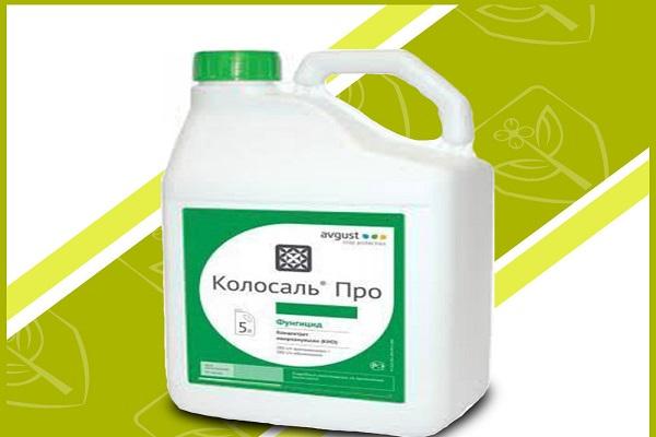 бутилка химия