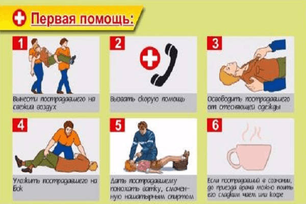 instrukcja pomocy