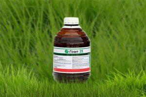 Instructions for use and the mechanism of action of Goal herbicide, how to prepare a working solution