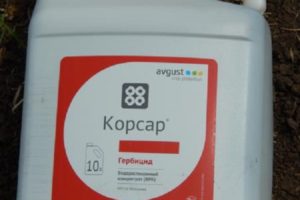 Instructions for the use of the herbicide Corsair, consumption rates and analogues