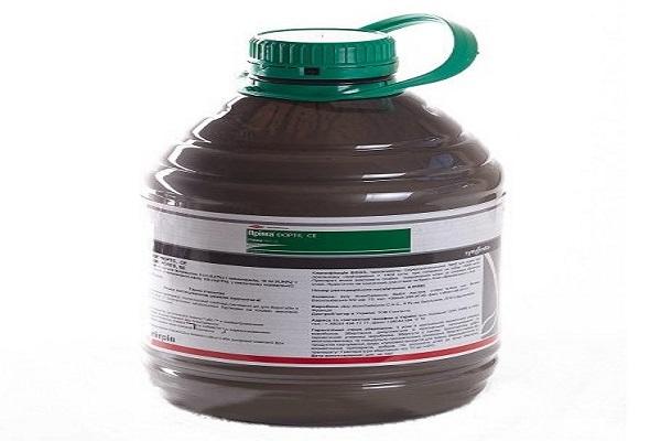 big bottle