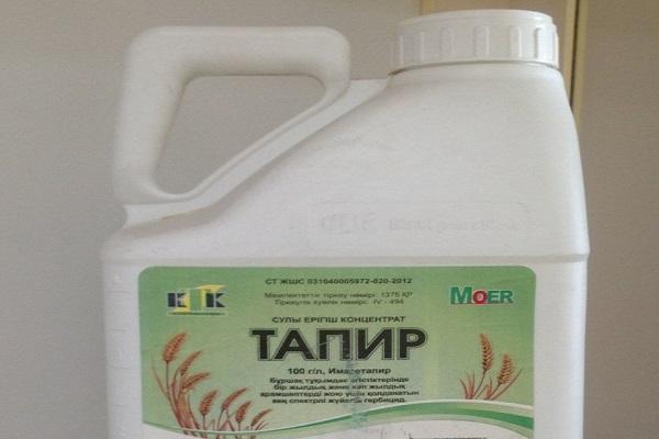 herbisit Tapir