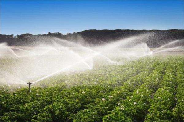Spray durch Technologie