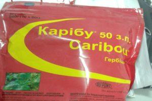 Οδηγίες για τη χρήση του ζιζανιοκτόνου Caribou, μηχανισμός δράσης και ποσοστά κατανάλωσης