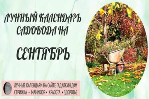 Календар сетве баштована и баштована за лунарну сетву за септембар 2020. године