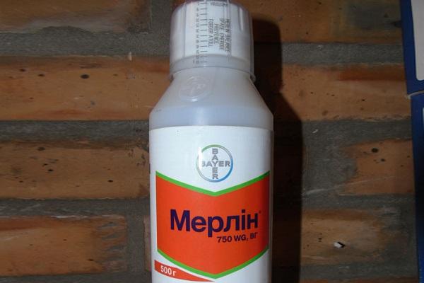 botella con tapa