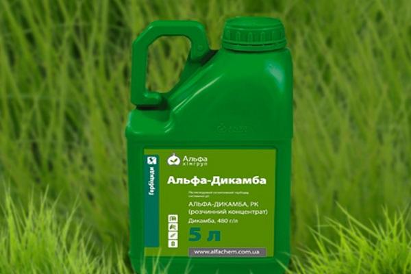 dicamba flaske
