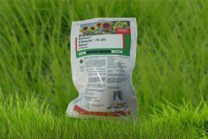 Herbisit Salsa'nın kullanım ve etki mekanizması için talimatlar