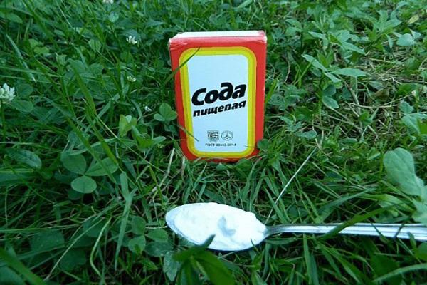 pack of soda