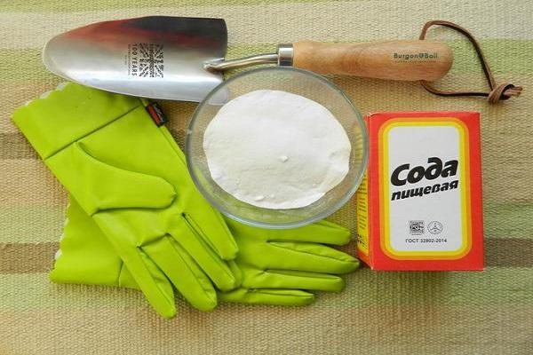 green gloves