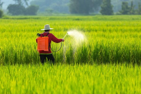Instructions for the use of Targa Super herbicide, consumption rates and analogues