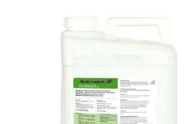 chuẩn bị hóa chất