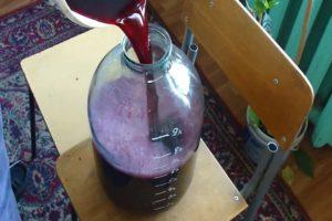 Schritt-für-Schritt-Technologie zur Herstellung von Wein mit eigenen Händen zu Hause