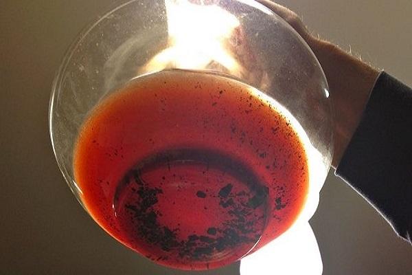 Bodensediment