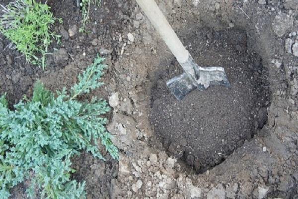 shovel in the pit