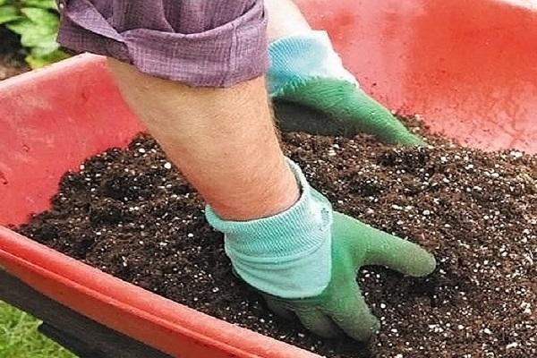 hands in the ground