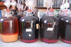 Temperatur für eine ruhige Gärung von Wein zu Hause, benötigen Sie eine Wasserdichtung