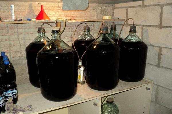 Gärung von Wein