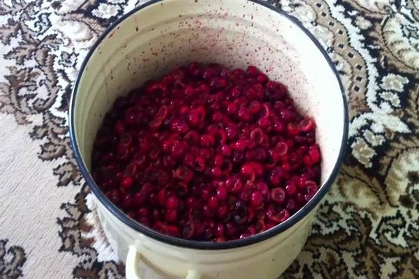 baies dans une casserole