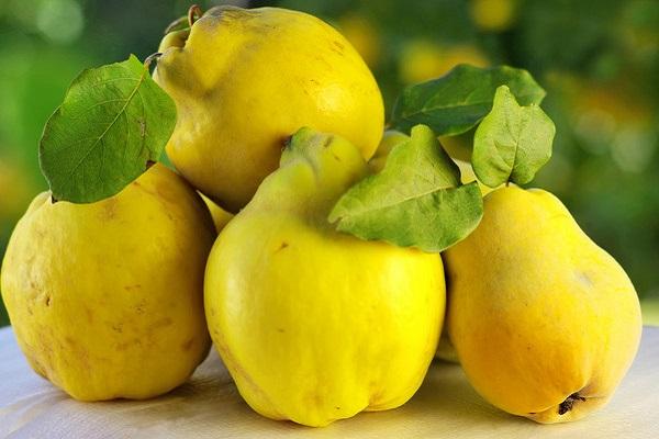 Quittenfrucht