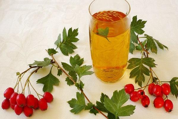 Blätter und Beeren