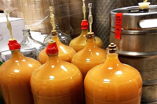 apelsinų fermentacija