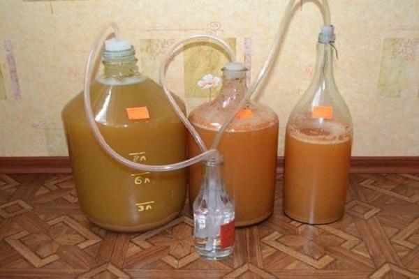 Fermentationsprozess