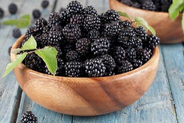 Maulbeeren