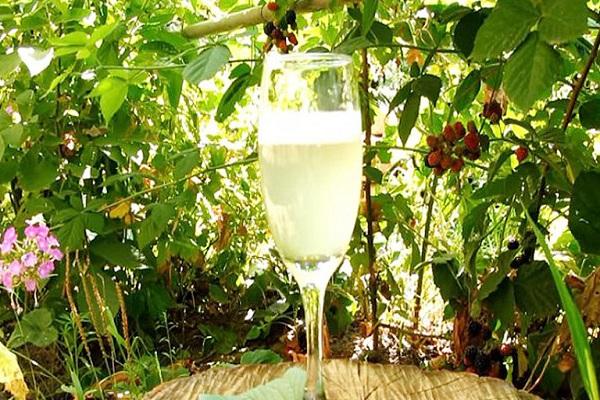 Blatt Champagner