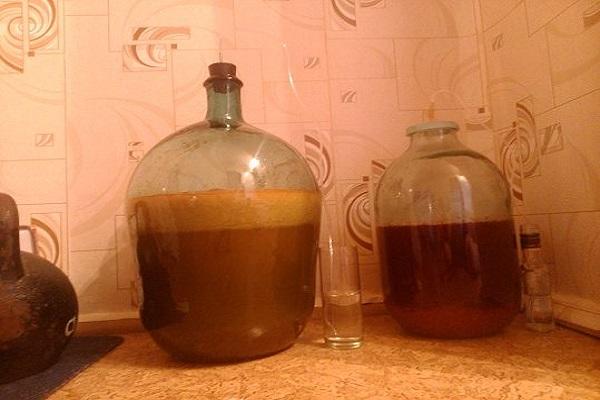 Fermentationskürbis