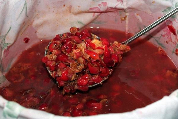 кашика бобица
