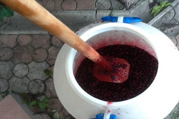 бачва воћа
