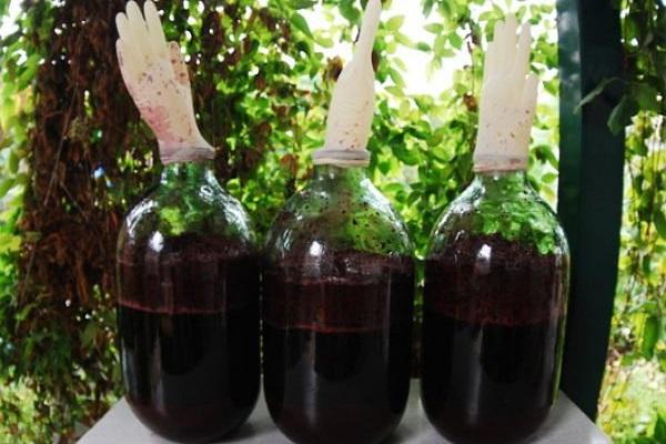 fermentacijos procesas