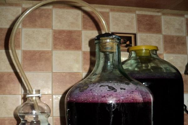 Schlauchpasteurisierung