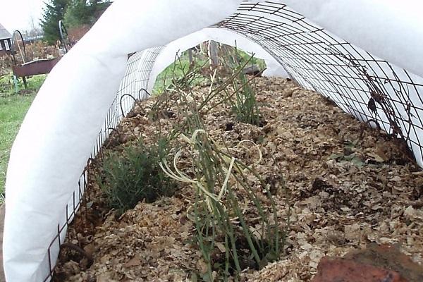 shelters for wintering