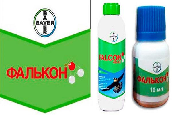 Falcon drug