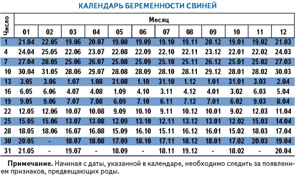 ημερολόγιο εγκυμοσύνης χοίρων