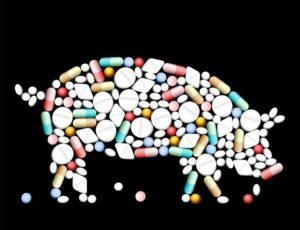 Welche Medikamente, Vitamine und Hormone für das schnelle Wachstum von Schweinen zu geben