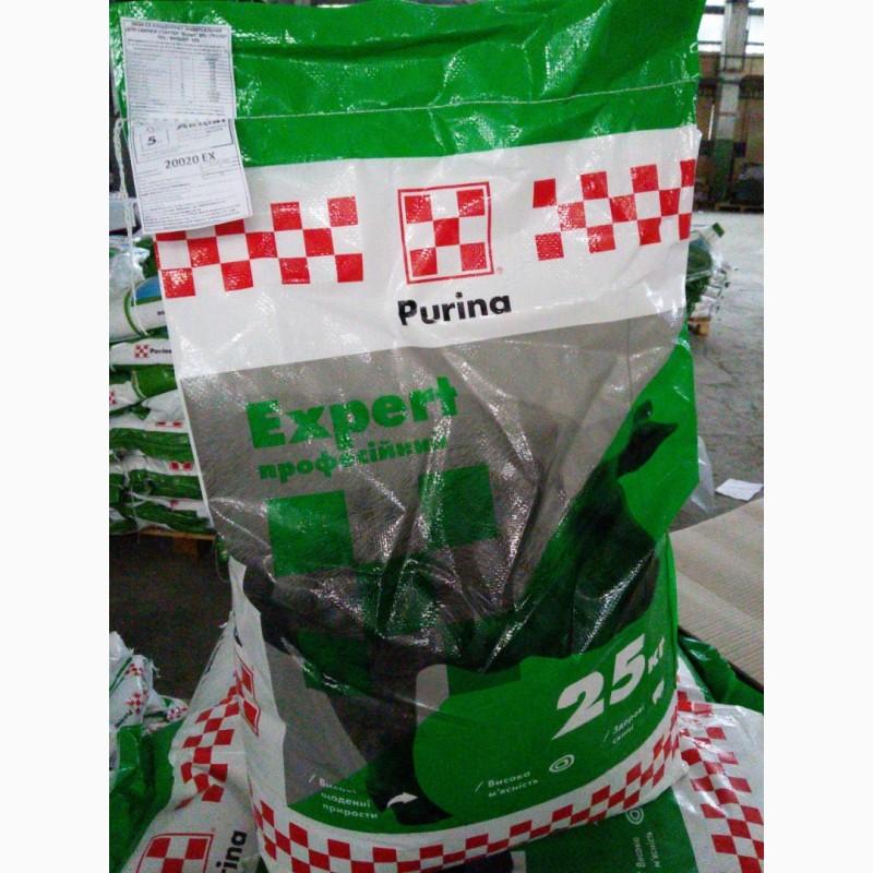 purino pašaras
