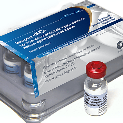 pig vaccine