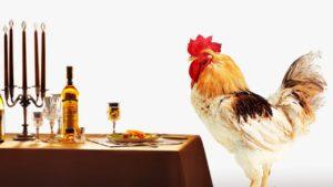 O melhor para alimentar as galinhas em casa para que elas carreguem muito