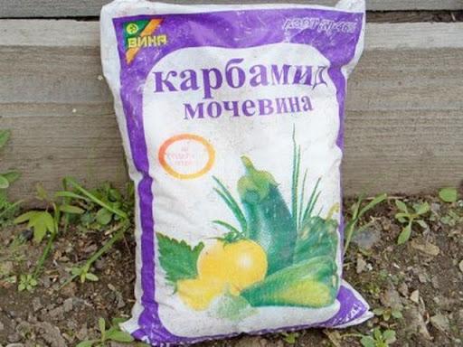 λίπασμα ουρία