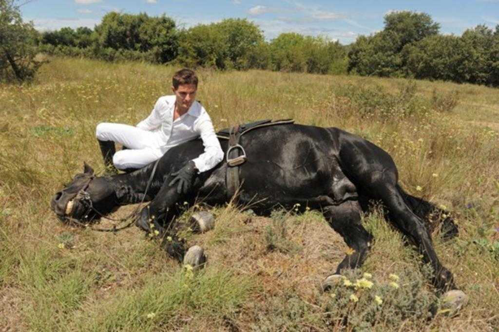 коњ је болестан