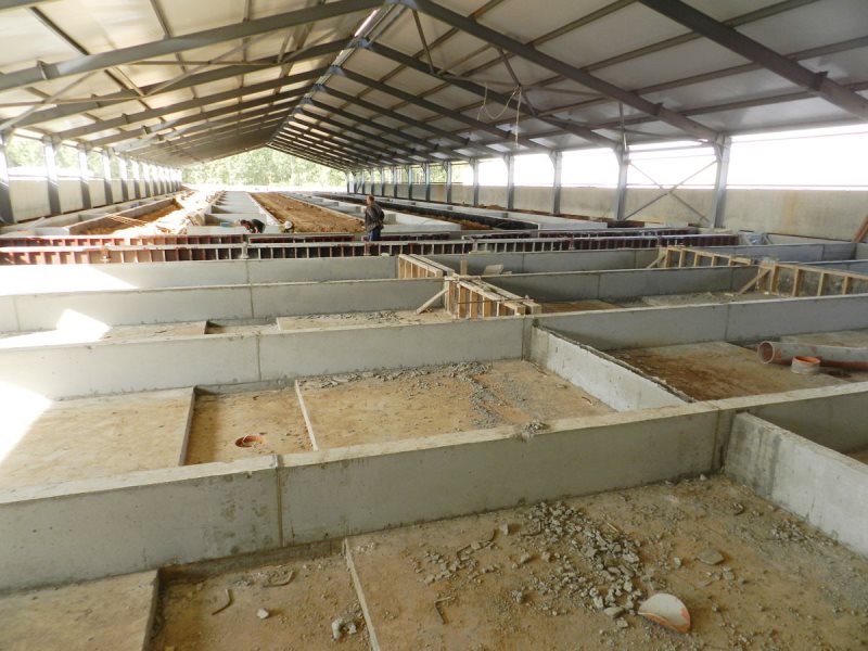 construção de chiqueiro