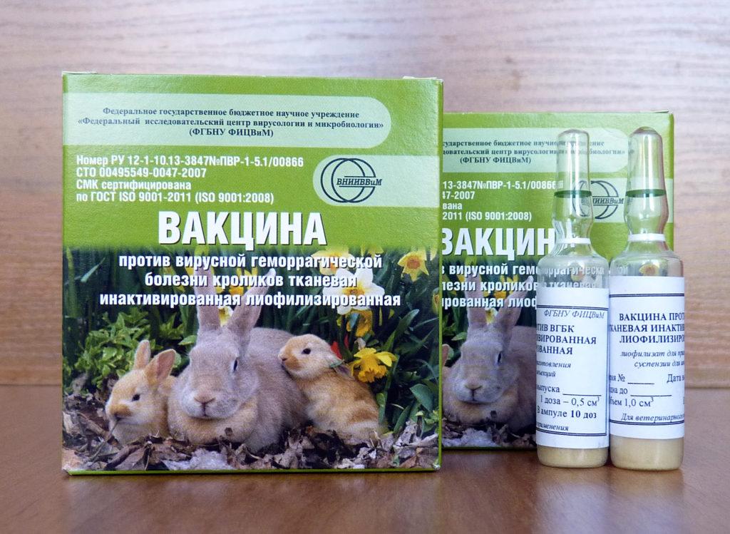 вакцина против кунића