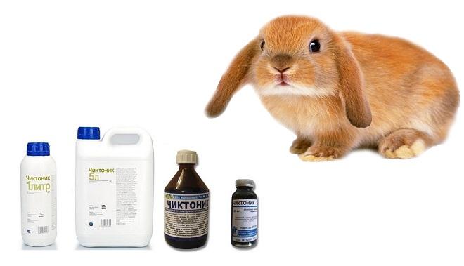 Vitamines Chiktonik