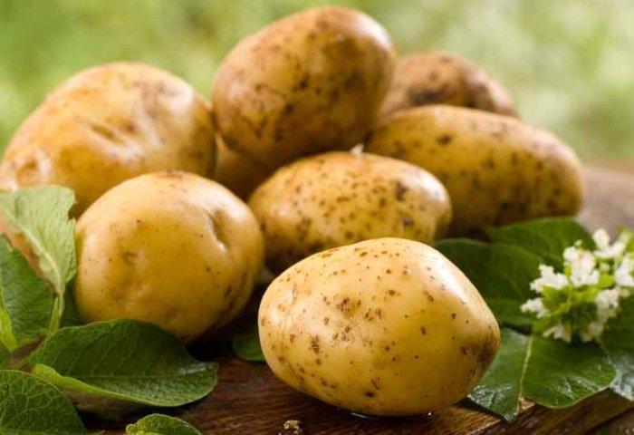 البطاطس النيئة