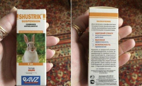 Shustrik pre králiky